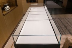 retail-glass-display-case