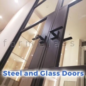 Steel and Glass Interior Doors