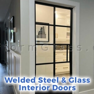 Steel and Glass Interior Door